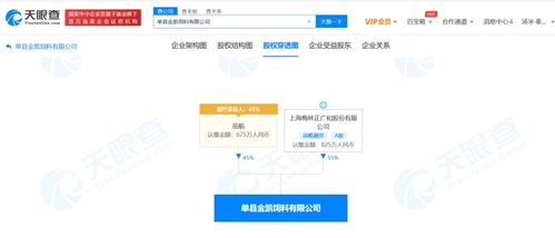 國內(nèi)貿(mào)易代理 連接供需的橋梁與引擎